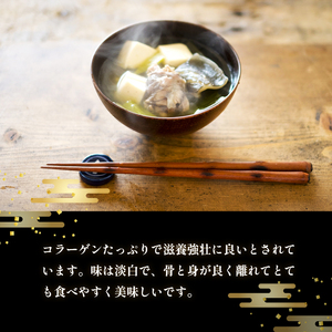 【12月お届け】綾部で育てた！！スッポン鍋 1kg  （2～3人前） すっぽん 鍋