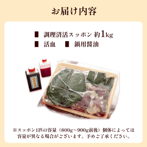 【12月お届け】綾部で育てた！！スッポン鍋 1kg  （2～3人前） すっぽん 鍋