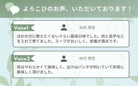 【12月お届け】綾部で育てた！！スッポン鍋 1kg  （2～3人前） すっぽん 鍋