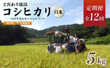 定期便12回】有機栽培コシヒカリ白米 5kg 京都府産 低農薬 毎月お届け 12ヶ月 【 米 5キロ 精米 白米 こめ コメ お米 おこめ こしひかり  井上吉夫 米農家 有機栽培米 有機栽培 農家直送 減農薬 綾部市 京都府 】 | 京都府綾部市 | ふるさと納税サイト「ふるなび」