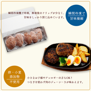 使いやすさ抜群！ 手ごね ハンバーグ 合計 1.2kg （120g×10個）【 訳あり 訳アリ 冷凍 小分け 個包装 はんばーぐ 牛肉 豚肉 肉 お肉 合い挽き 牛ハンバーグ 洋食 簡単調理 人気 国産 綾部 京都 】