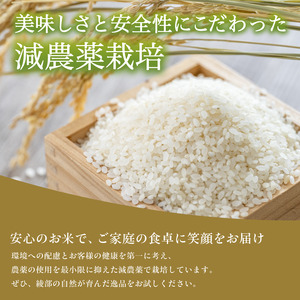 【令和7年産】 減農薬コシヒカリ 精米 10kg 白米 米