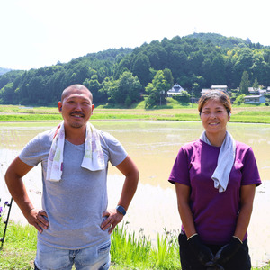 【令和7年産】 減農薬コシヒカリ 精米 10kg 白米 米
