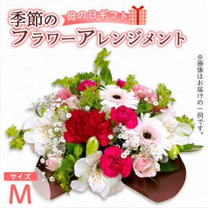 【母の日】 フラワーアレンジメント（M） | 花 お花 生花 フラワー フラワーアレンジメント 花束 母の日限定 母の日ギフト 配送地域限定 京都府 綾部市