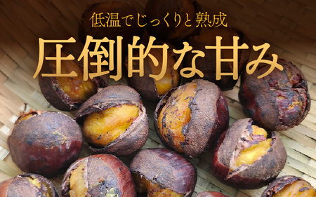 京都府綾部産 丹波焼き栗 400g