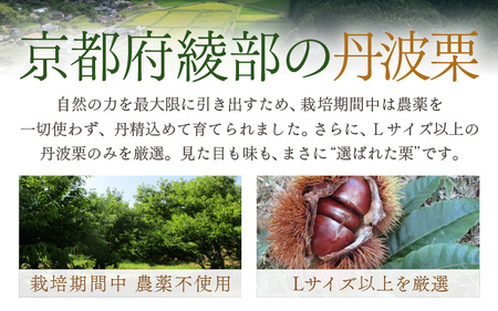 京都府綾部産 丹波焼き栗 400g