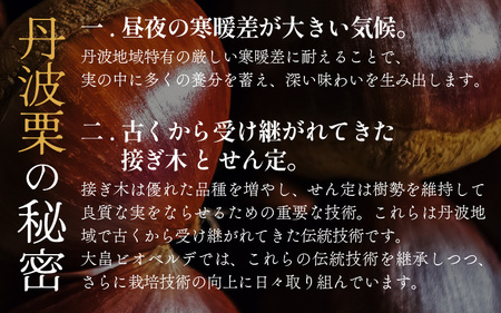 京都府綾部産 丹波焼き栗 400g