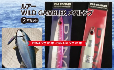 綾部市ふるさと納税 ルアーWILD GAMBLERメタルジグ2本セット!【1104611】