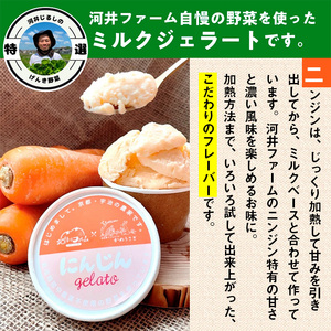 野菜ジェラート(3種・計6個) ジェラート アイス 野菜 ミルク ミルクジェラート スイーツ 冷凍 冷凍スイーツ デザート 【uj-DQ001】【河井ファーム】