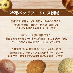 ロスパン詰め合わせ(10個)  ロスパン 冷凍パン 訳あり おまかせパン 惣菜パン 詰め合わせ 個包装 食品ロス対策 パン 朝食 おやつ 保存食 お買い得 【uj-DU001】【天使のパン】