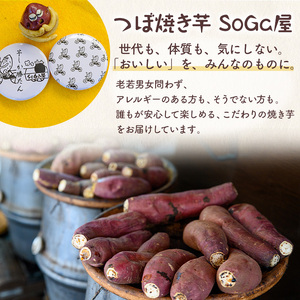 つぼ焼き芋(計1.2kg・約6本入) 焼き芋 さつまいも スイーツ 国産 蜜芋 デザート【uj-EC001】【つぼ焼き芋 SoGa屋】