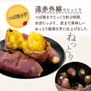 つぼ焼き芋(計1.2kg・約6本入) 焼き芋 さつまいも スイーツ 国産 蜜芋 デザート【uj-EC001】【つぼ焼き芋 SoGa屋】