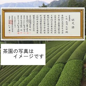 ＜数量限定＞宇治茶 玉露「瑞竜」・煎茶「皐月の誉」詰合せ(2種・各1) 京都府 宇治市 京都 宇治 お茶 茶葉 煎茶 玉露 お土産 ギフト 贈答 【uj-FO002】【北岡園】