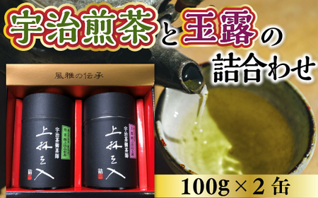 宇治煎茶と玉露の詰合わせ 100g×2缶 AU02 | 京都府宇治市 | ふるさと