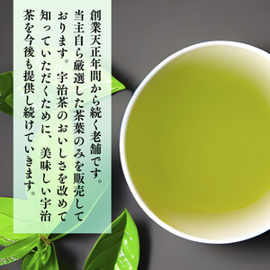 宇治煎茶と玉露の詰合わせ 100g×2缶　銘茶 お茶 宇治茶 緑茶 玉露 煎茶　AU02