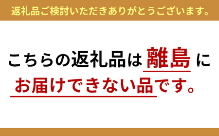 柔らか肉厚の スルメイカ 一夜干し 6枚[ 国産 干物 肴 つまみ イカ ]