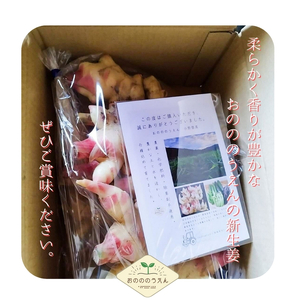 【2025年発送分予約】京都府産　新生姜 2kg 栽培期間中 農薬 化学肥料 除草剤不使用 生姜 しょうが 酢漬け 薬味 野菜 紅茶 ガリ チューハイ 健康 国産 おつまみ