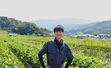 京都府産　サツマイモ (紅はるか) 3kg　栽培期間中農薬・化学肥料・除草剤不使用