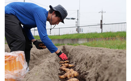生姜の佃煮 3個