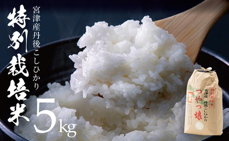 【令和7年産】【新米/産地直送】特別栽培米 宮津産丹後コシヒカリ「つやっ娘」5kg 〈2025年10月以降順次発送〉 お米