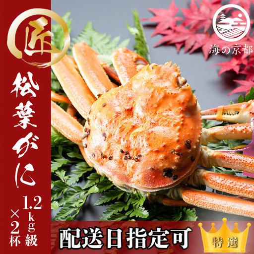 【配送日指定可】茹で松葉蟹 特上 2杯（1,200g級）〈11月中旬～2026年3月末頃発送〉 蟹 カニ かに 松葉蟹 松葉ガニ ズワイガニ ボイル