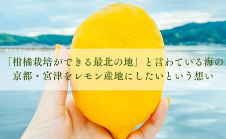 檸檬胡椒 70g レモン れもん 調味料 スパイス 薬味 京都府 宮津市