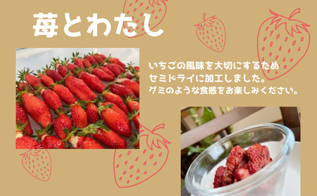 ドライフルーツ「苺とわたし」(2箱入り)| お菓子 おかし おやつ ドライフルーツ ギフト