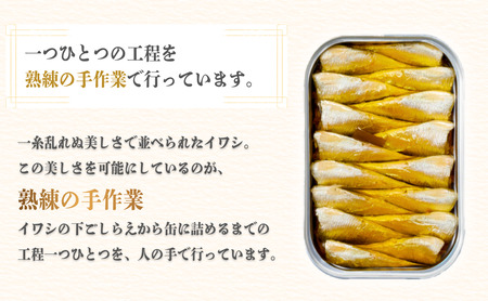 橋立印 オイルサーディン （いわし油づけ） 20缶入 │ 竹中 罐詰 缶詰 缶詰め まとめ買い レシピ サラダ 備蓄 防災 非常食 保存食 油漬け 天橋立 京都 宮津 イワシ セット つまみ 加工 魚介 トッピング