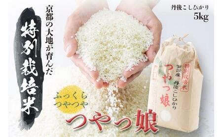 令和5年産 特別栽培米つやっ娘米 5kg 丹後こしひかり お米 米 ご飯 コシヒカリ つやっ娘  丹後 宮津 京都 海の京都 特別栽培米 新米 グルメ 