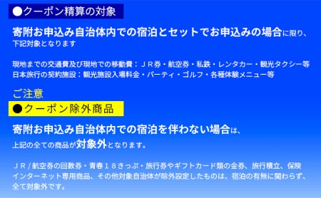 京都府宮津市 日本旅行 地域限定旅行クーポン300,000円分 チケット 