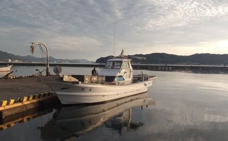 天橋立 宮津湾 船釣り体験【貸切】2～4名《実施期間：5月～10月》