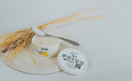 ライスジェラート 6個 セット(6種×1個) アイス ジェラート 詰め合わせ お米 こしひかり コシヒカリ ライスミルク スイーツ 低カロリー