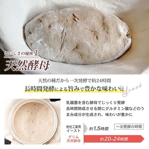 天然酵母 食パン 3種 お試しセット《国産小麦 無添加 パン セット 朝食 京都 パン 無添加パン 天然酵母パン 国産素材パン 京都パン  食パン おやつ パン》※北海道・沖縄・離島への配送不可 