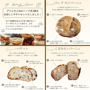 パン【6回定期便】パン 天然酵母ハード系パン3種セット