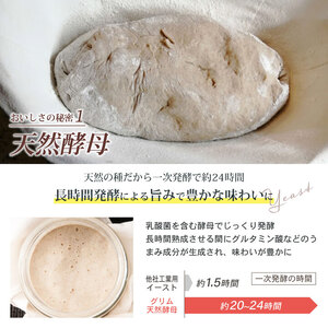 パン【6回定期便】パン 天然酵母ハード系パン3種セット