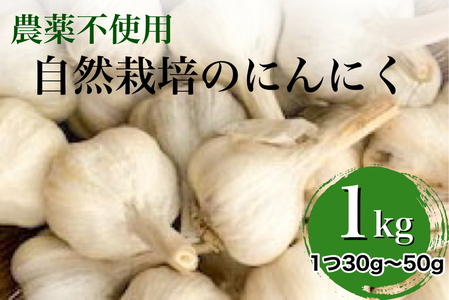 【2025年産 予約】にんにく 1kg 京都府・亀岡産 自然栽培のかたもとオーガニックファームよりお届け ※離島への発送不可 ※2025年6月下旬～9月下旬頃に順次発送予定