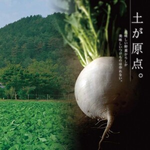 漬物 千枚漬 1kg 京つけものもり 漬物