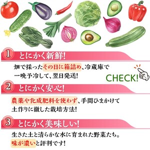 野菜 アスカ有機農園 旬の京野菜セットS 毎月4回定期便 野菜  野菜セット 旬野菜 厳選野菜