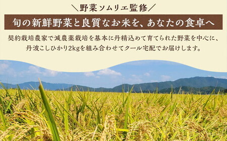 【隔月6回定期便】旬の京野菜と米セット 野菜