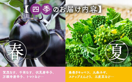 京野菜スペシャルセット  野菜