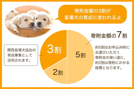 【返礼品なし】盲導犬の育成を応援しよう！（2,000円単位でご寄附いただけます。※3割を盲導犬育成に活用）