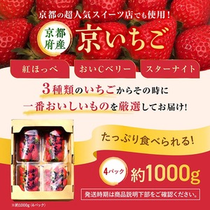 京いちご 約1kg いちご