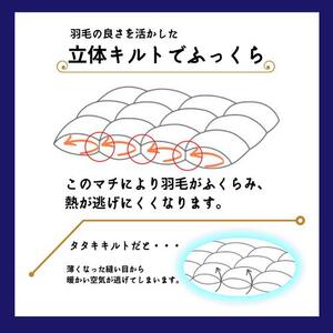 【ネイビー】＜京都金桝＞羽毛布団 『シングル』カバー付き ハンガリーホワイトダウン90％ 1.3kg 日本製 冬用 布団 ボリューム 新生活 京都亀岡産 ふるさと納税羽毛布団 新生活羽毛布団 羽毛布団 寝具 掛けふとん 布団 掛布団 羽毛ふとん re09