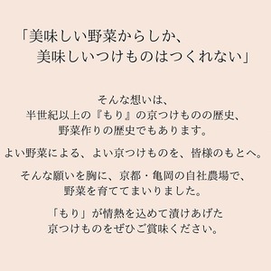 漬物 京つけものもり お試し 漬物 6種セット京漬物 野菜漬物 お漬物