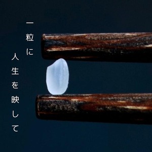 令和6年産 新米 京都府産 コシヒカリ 30kg ｜ 米 お米 コメ 白米 精米 ごはん ご飯 京都丹波米 ※2024年10月上旬以降順次発送予定 ※北海道・沖縄・離島への配送不可