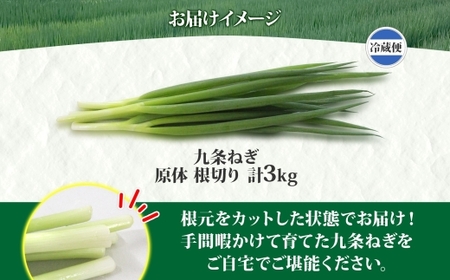 九条ねぎ 原体 根切り 3kg 京のおねぎはん 野菜 京野菜 野菜 野菜