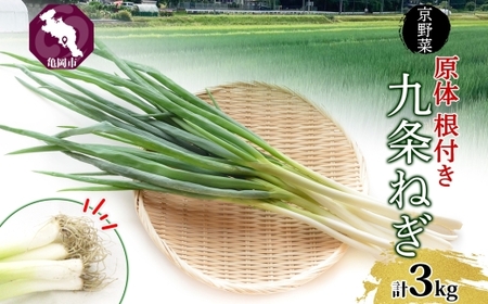 九条ねぎ 原体 根付き 3kg 京のおねぎはん 野菜 京野菜 野菜 野菜