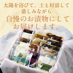 漬物 京漬物 16品詰め合わせ 京・お漬物処やました 京野菜漬物