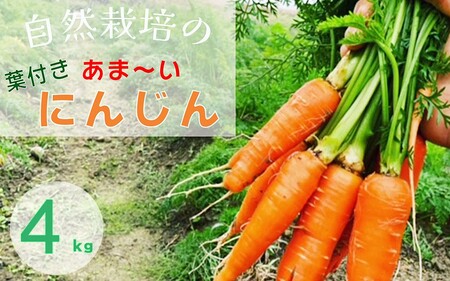 甘い葉付き人参 4kg かたもとオーガニックファーム 人参