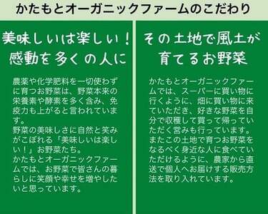 甘い葉付き人参 4kg かたもとオーガニックファーム 人参